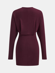Deep V-Neck Ruched Long-Sleeve Mini Dress