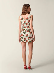 ALBERTINA dress